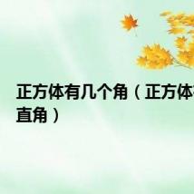 正方体有几个角(正方体有几个直角)