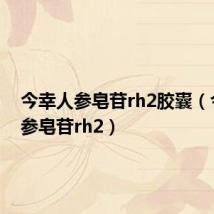 今幸人参皂苷rh2胶囊(今幸人参皂苷rh2)