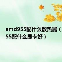 amd955配什么散热器(amd955配什么显卡好)