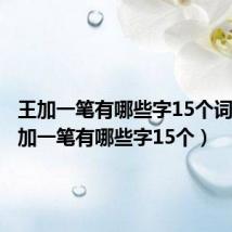 王加一笔有哪些字15个词语(王加一笔有哪些字15个)
