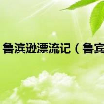 鲁滨逊漂流记（鲁宾逊）