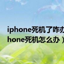 iphone死机了咋办(iphone死机怎么办)