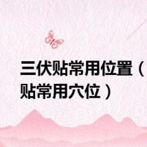 三伏贴常用位置（三伏贴常用穴位）
