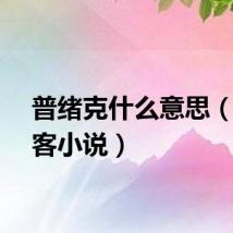 普绪克什么意思（普绪客小说）