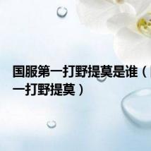 国服第一打野提莫是谁(国服第一打野提莫)