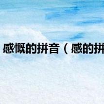 感慨的拼音（感的拼音）