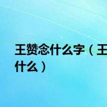 王赞念什么字（王赞念什么）
