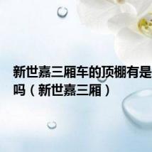 新世嘉三厢车的顶棚有是海绵的吗(新世嘉三厢)