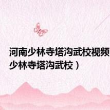 河南少林寺塔沟武校视频(河南少林寺塔沟武校)