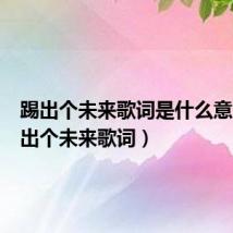 踢出个未来歌词是什么意思(踢出个未来歌词)