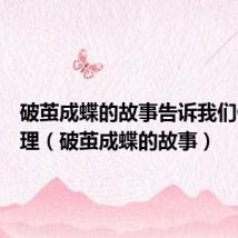 破茧成蝶的故事告诉我们什么道理(破茧成蝶的故事)