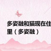多姿融和猫现在住在哪里（多姿融）