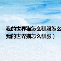 我的世界猫怎么驯服怎么放鞍(我的世界猫怎么驯服)