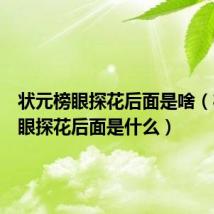 状元榜眼探花后面是啥(状元榜眼探花后面是什么)