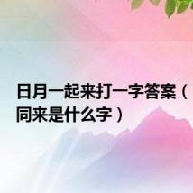 日月一起来打一字答案(日月一同来是什么字)