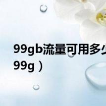 99gb流量可用多少天(99g)