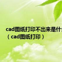 cad图纸打印不出来是什么原因(cad图纸打印)