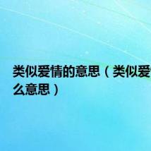 类似爱情的意思(类似爱情是什么意思)