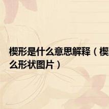 楔形是什么意思解释(楔形是什么形状图片)