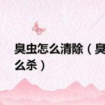 臭虫怎么清除（臭虫怎么杀）