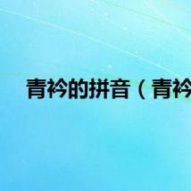 青衿的拼音（青衿）