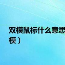 双模鼠标什么意思（双模）