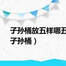 子孙桶放五样哪五样（子孙桶）