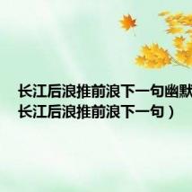 长江后浪推前浪下一句幽默的话(长江后浪推前浪下一句)