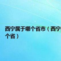 西宁属于哪个省市（西宁属于哪个省）