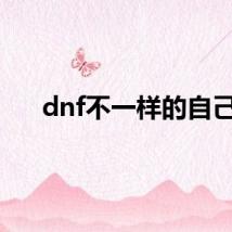 dnf不一样的自己