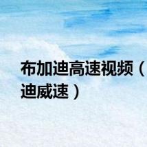 布加迪高速视频（布加迪威速）