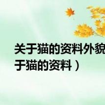 关于猫的资料外貌（关于猫的资料）