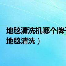 地毯清洗机哪个牌子好（地毯清洗）