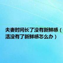 夫妻时间长了没有新鲜感(夫妻生活没有了新鲜感怎么办)