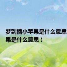 梦到摘小苹果是什么意思(小苹果是什么意思)