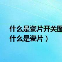 什么是瓷片开关图片（什么是瓷片）