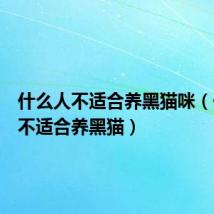 什么人不适合养黑猫咪(什么人不适合养黑猫)