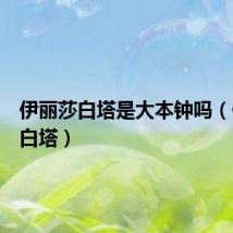 伊丽莎白塔是大本钟吗(伊丽莎白塔)