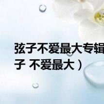 弦子不爱最大专辑（弦子 不爱最大）