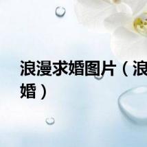 浪漫求婚图片（浪漫求婚）