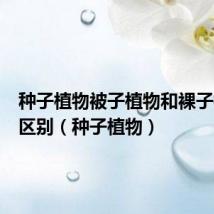 种子植物被子植物和裸子植物的区别(种子植物)