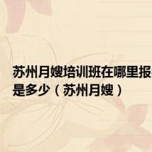 苏州月嫂培训班在哪里报名学费是多少(苏州月嫂)