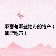 麻枣有哪些地方的特产(麻枣有哪些地方)