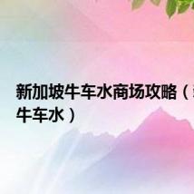 新加坡牛车水商场攻略(新加坡牛车水)