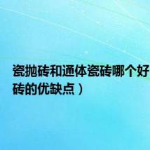 瓷抛砖和通体瓷砖哪个好(通体砖的优缺点)