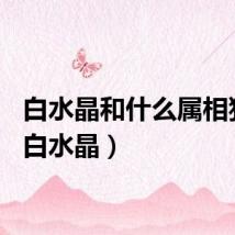 白水晶和什么属相犯冲（白水晶）