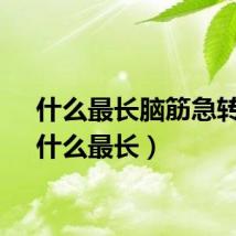 什么最长脑筋急转弯（什么最长）