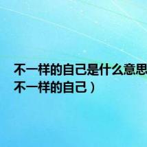 不一样的自己是什么意思(dnf不一样的自己)