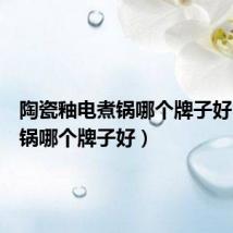 陶瓷釉电煮锅哪个牌子好(电煮锅哪个牌子好)