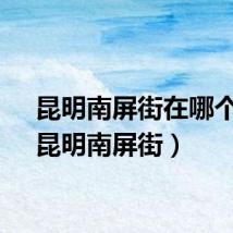 昆明南屏街在哪个区（昆明南屏街）